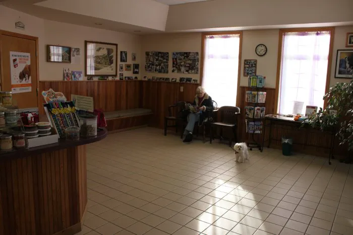 VCA All Caring Animal Hospital 12
