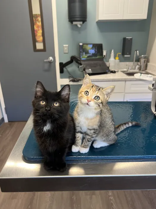 Winsted Hospital for Animals 12