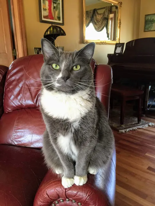 Winsted Hospital for Animals 12