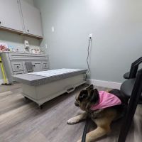 Forest Ridge Veterinary Hospital ico