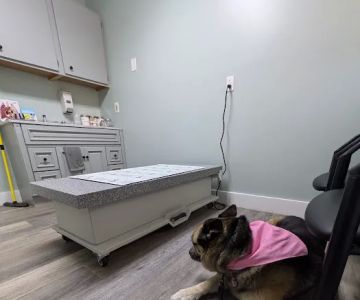 Forest Ridge Veterinary Hospital