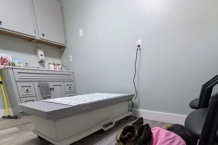 Forest Ridge Veterinary Hospital