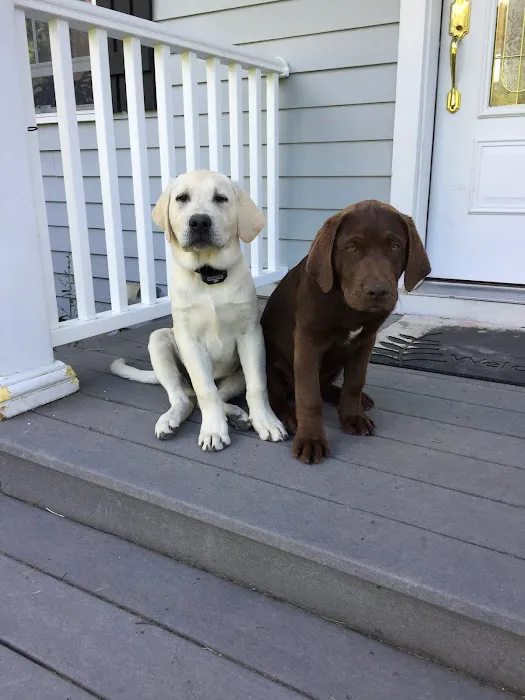 Kinderhook Animal Hospital 12