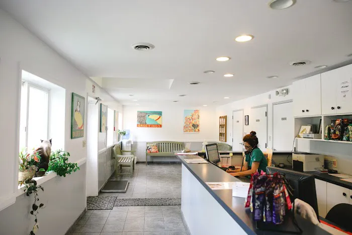 Wood Hill Veterinary Clinic 12