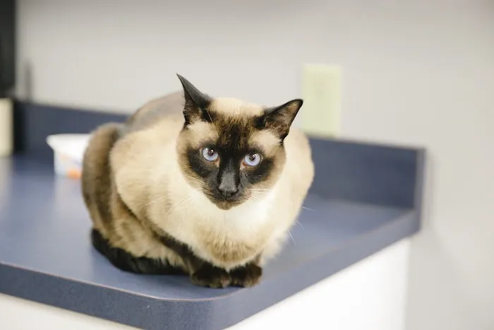 Wood Hill Veterinary Clinic 12