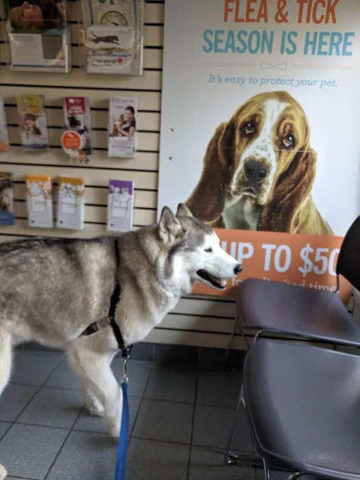 Chippens Hill Veterinary Hospital 12