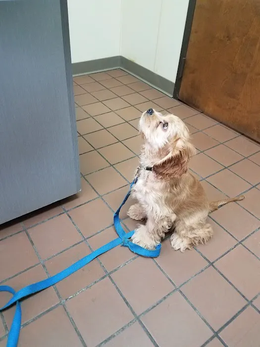 VCA Bristol Animal Hospital 12