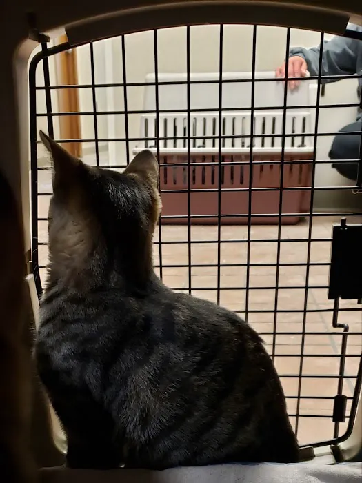 VCA Bristol Animal Hospital 12