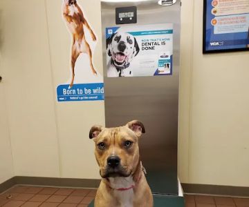VCA Bristol Animal Hospital