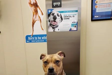 VCA Bristol Animal Hospital