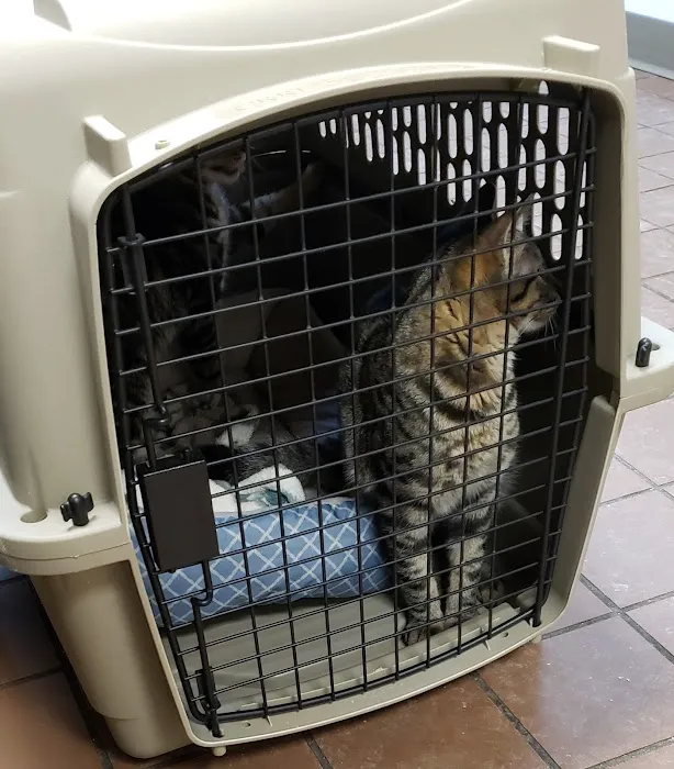 VCA Bristol Animal Hospital 12