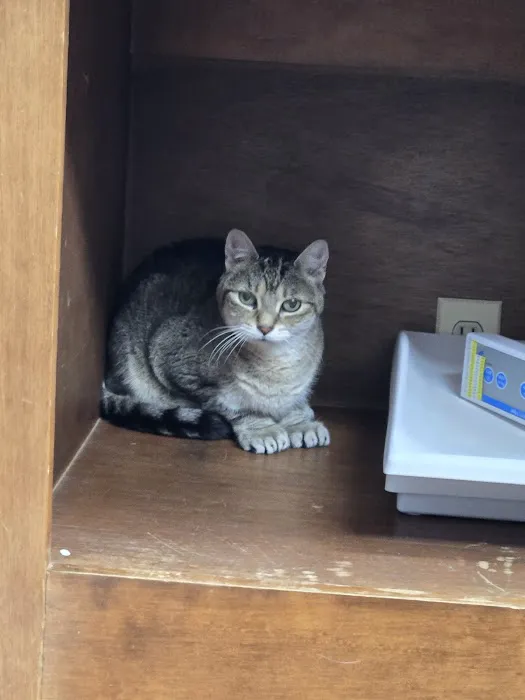 Burlington Veterinary Center 12