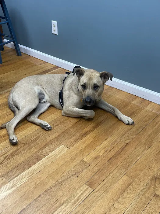 Burlington Veterinary Center 12