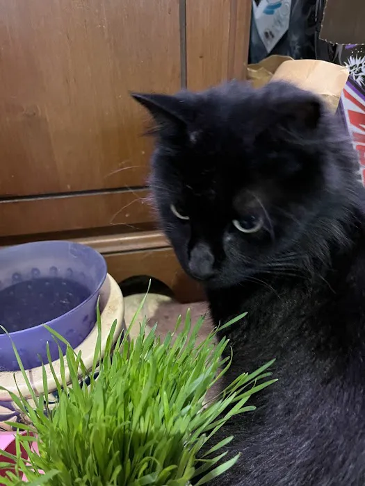 Burlington Veterinary Center 12