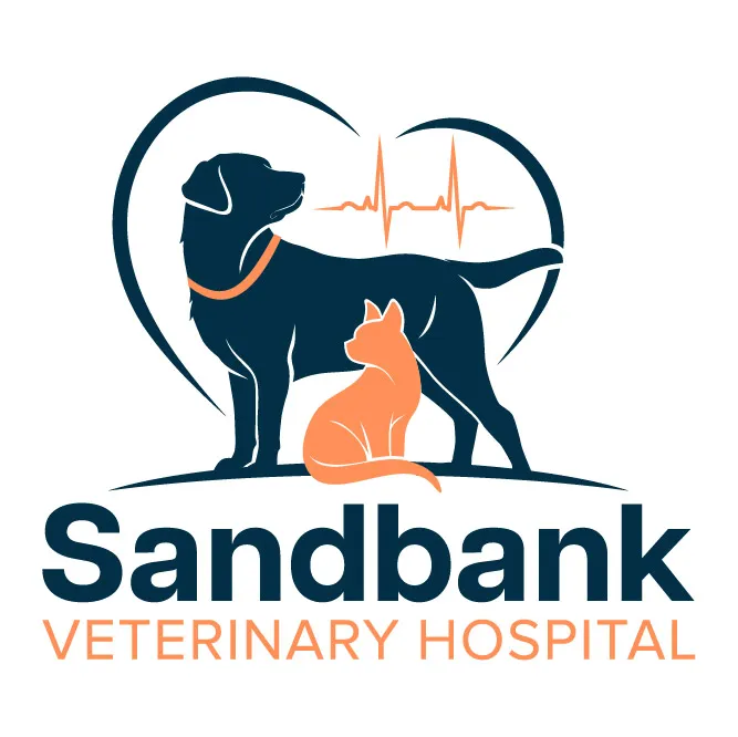 Sandbank Veterinary Hospital 12
