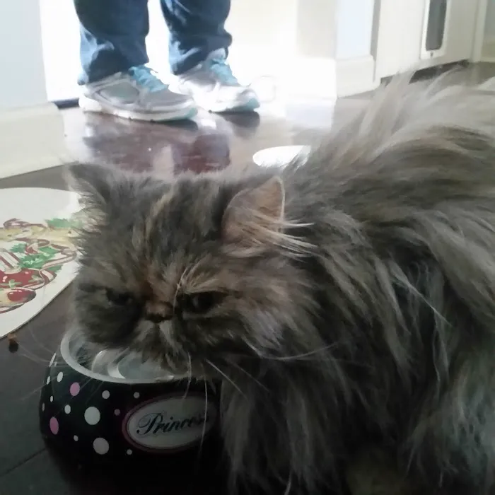 Sandbank Veterinary Hospital 12