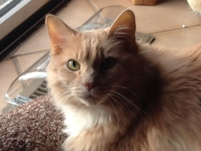 Apple Valley Veterinarians, LLC 12