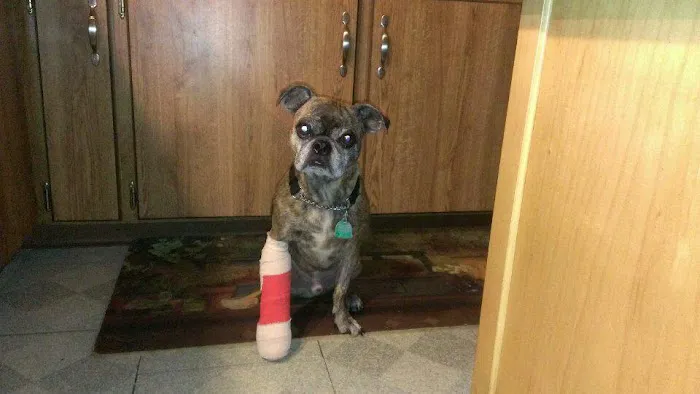Apple Valley Veterinarians, LLC 12