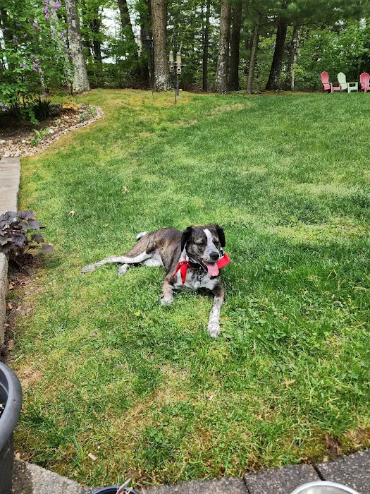 Apple Valley Veterinarians, LLC 12