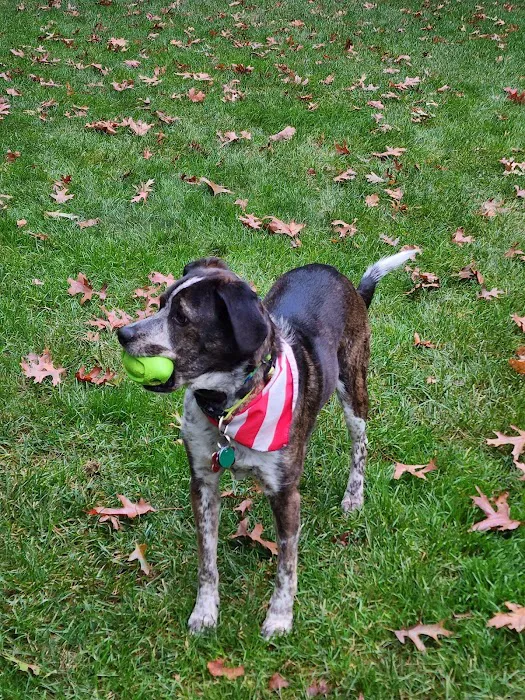 Apple Valley Veterinarians, LLC 12