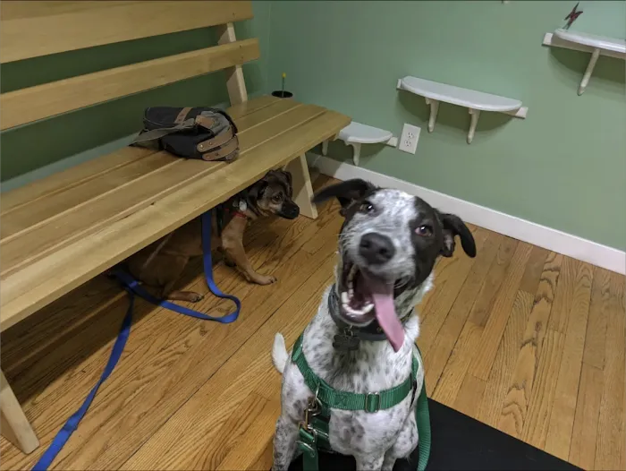 River Valley Veterinary Hospital 12