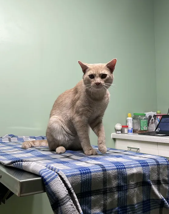 River Valley Veterinary Hospital 12