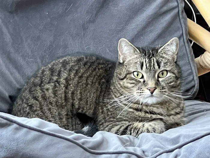 Merryfield Veterinary Hospital 12