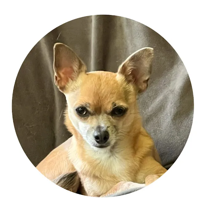 Merryfield Veterinary Hospital 12