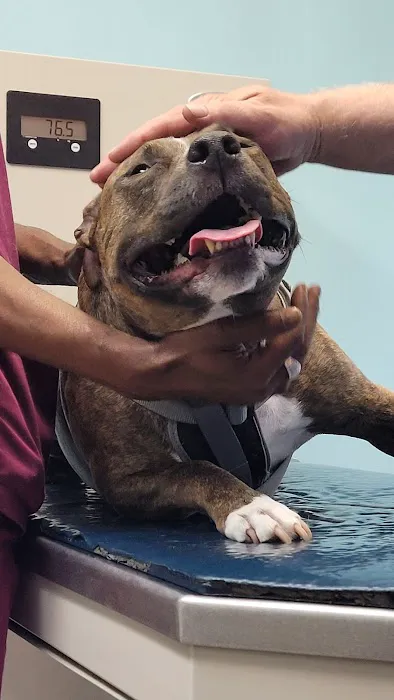 Woodbridge Veterinary Hospital 12