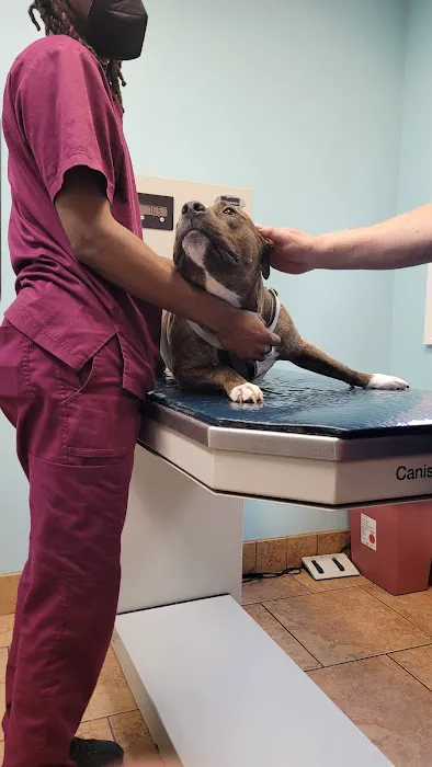Woodbridge Veterinary Hospital 12