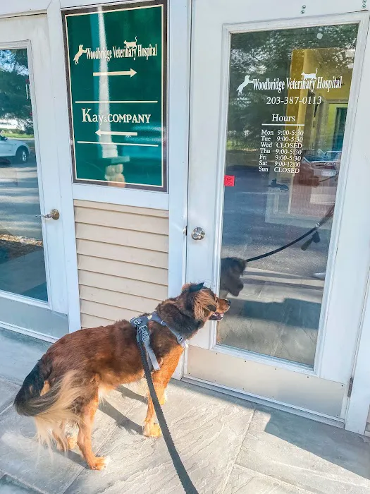 Woodbridge Veterinary Hospital 12