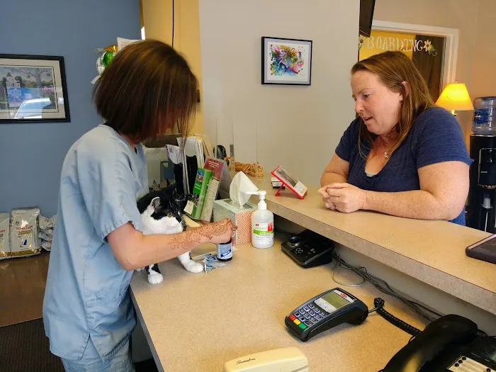 New England Cat Care 12