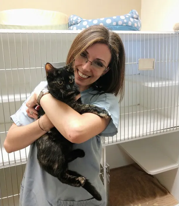 New England Cat Care 12