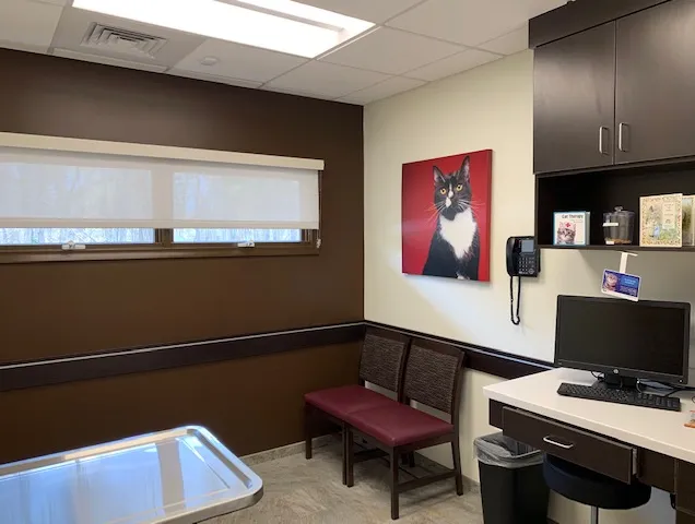 VCA Cheshire Animal Hospital 12