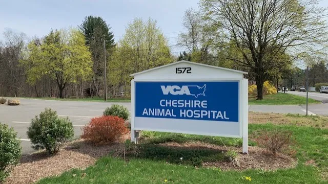 VCA Cheshire Animal Hospital 12