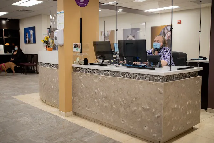 VCA Cheshire Animal Hospital 12