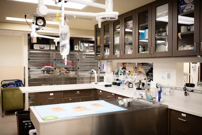 VCA Cheshire Animal Hospital 12