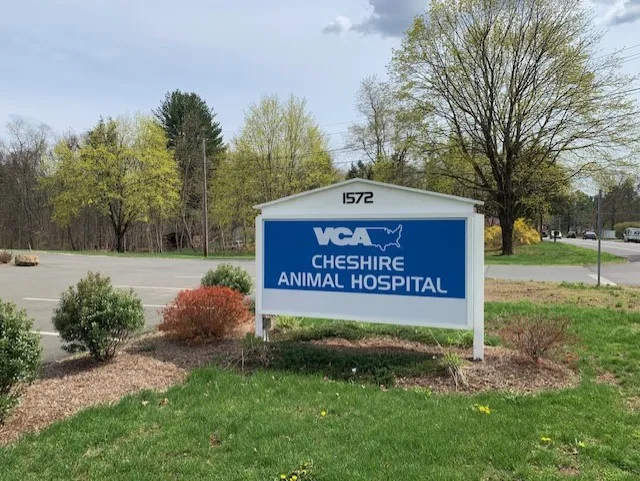 VCA Cheshire Animal Hospital 12