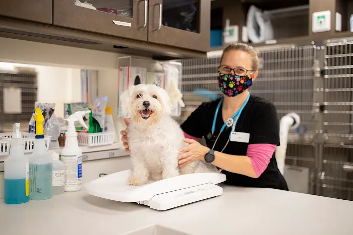VCA Cheshire Animal Hospital 12