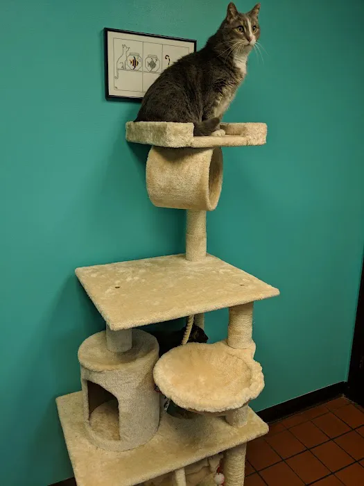 Mount Carmel Veterinary Hospital 12