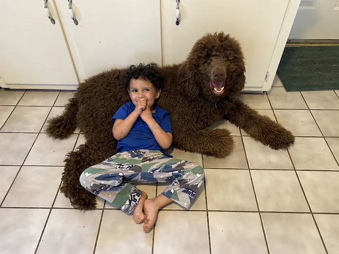 Mount Carmel Veterinary Hospital 12