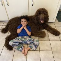 Mount Carmel Veterinary Hospital ico