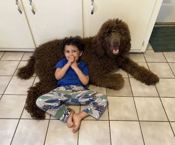 Mount Carmel Veterinary Hospital