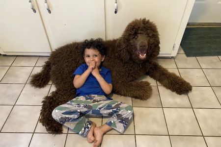 Mount Carmel Veterinary Hospital