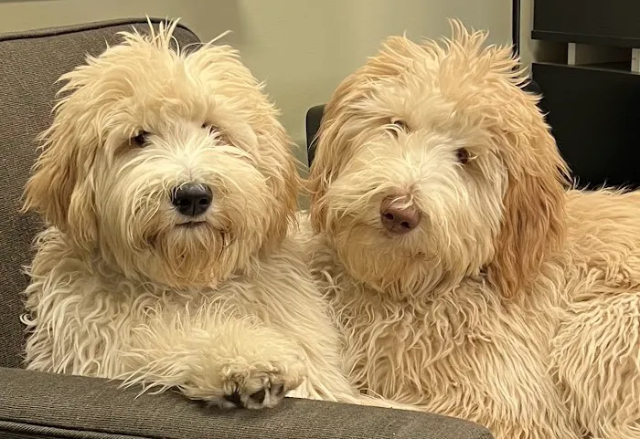 Chenango Animal Hospital 8