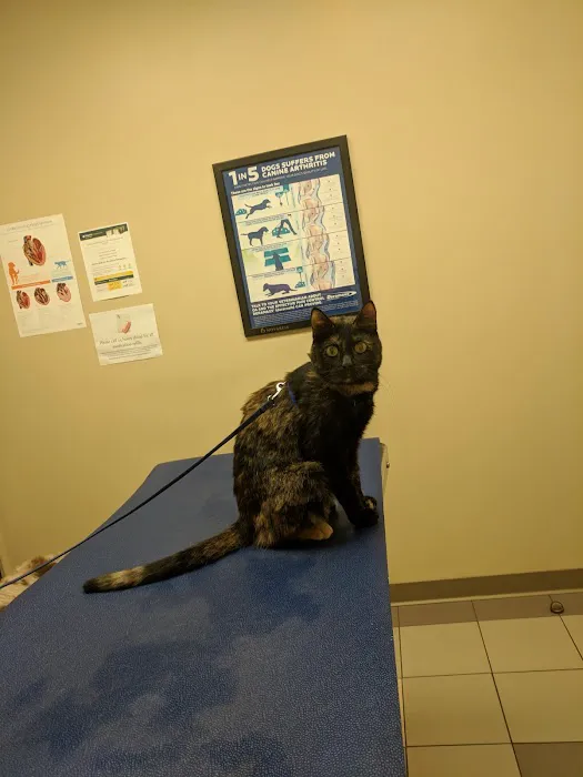 Chenango Animal Hospital 1