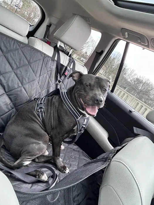 Chenango Animal Hospital 2