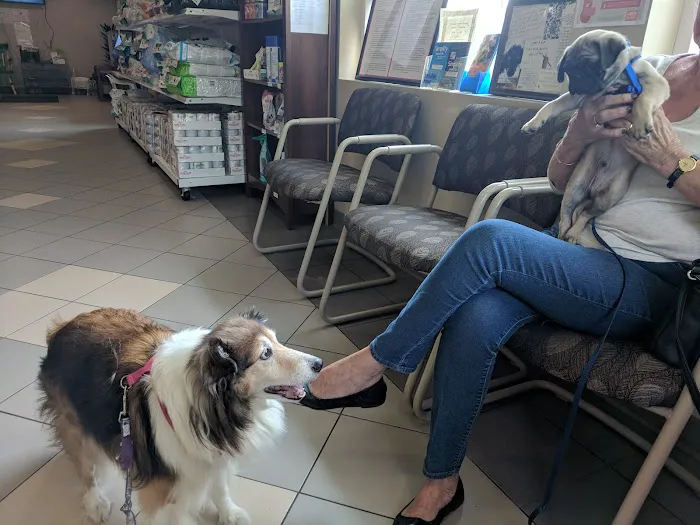 Chenango Animal Hospital 4