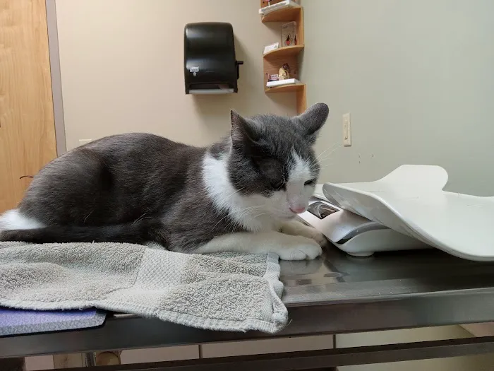 Chenango Animal Hospital 3