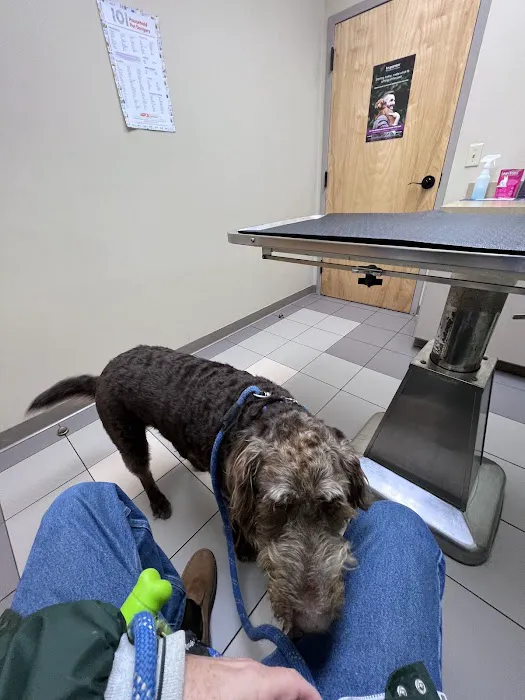 Chenango Animal Hospital 6